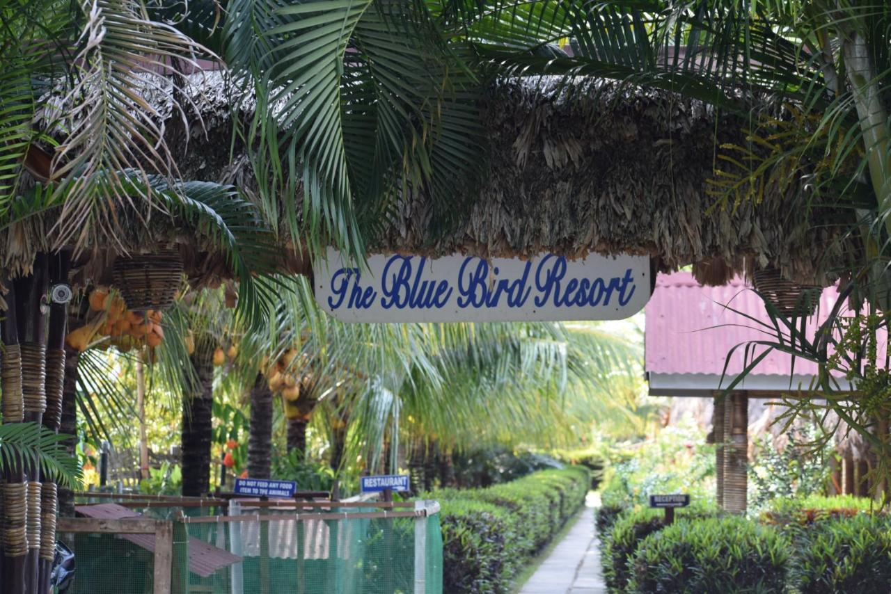 Blue Bird Resort Vijay Nagar Beach Eksteriør billede